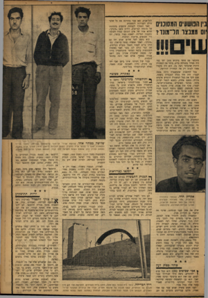 העולם הזה - גליון 1035 - 14 באוגוסט 1957 - עמוד 13 | נין הפושעים המסוכנים יום ממבצר תל־מונד? מתקשר עם סוחר ברכוש גנוב. יחד עמו היה מסייר בחנויות בדים, בוחר את הסחורה היקרה שהסוחר רצה בה. הוא היה מקפיד מאוד לגנוב