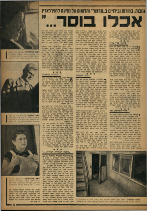 העולם הזה - גליון 1051 - 27 בנובמבר 1957 - עמוד 5 | גנובות, בחולות ובילויים ב״תדמור־ וחלומות על נסיעה לחוץ־לארץ 1בוסר...״ ערבה היסוש בבתיהם ועצרה חלק מהם. כשהובא מלאך למחרת לעני הטופס דב זוהר בתל־אביב, היו המלים