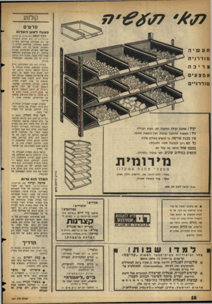 העולם הזה - גליון 1071 - 8 באפריל 1958 - עמוד 16 | קולנוע סרטים מצצהלמ ען ה ש לו הקץ לנשק (תל-אביב, תל־אביב; ארצות־הברית) היא יצירת הבתולין של נהג אמבולנס אמריקאי בשרות הצבא האיטלקי, במלחמת העולם הראשונה, שכתב