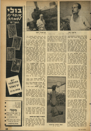 העולם הזה - גליון 1090 - 20 באוגוסט 1958 - עמוד 13 | עד־שקר ליטו רו ש ם של ש ק רני ם ...הפיל והעליל מפרדסי מסמיה שבכביש ירושלים־באר־שבע. משם עבר סוף־סוף בחזרה ליפו׳ אותה עזב בשנת .1948 כבר במסמיה התגלגל לוטפי
