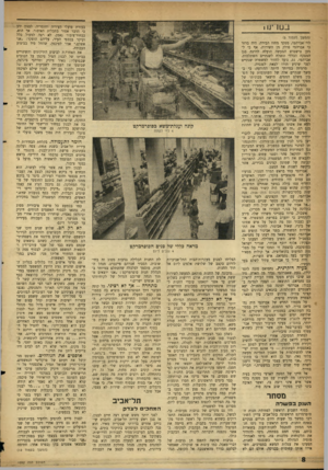 העולם הזה - גליון 1092 - 3 בספטמבר 1958 - עמוד 8 | בנוו ינו • (המשך מעמוד )5 לוי אברהמי, מפקד מחוז הבירה. היה ברור כי אברהמי סולק מן השירות, אף כי למען טישטוש המעשה הועלה לדרגת סגן המפקח הכללי ונשלח לשנתיים