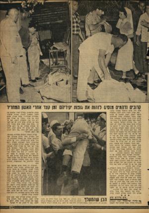 העולם הזה - גליון 1100 - 29 באוקטובר 1958 - עמוד 13 | קוונים נדהמים מנס ס לזהות את גוכות יקיריהם זמן קצו אחו׳ האסון המחריד בלמי היד, אולם הרגשת׳ שאנחנו עפים.״ דעה אחרת לגמרי היתד, לקצין המשטרה מיכאל ליטבק, הקצין