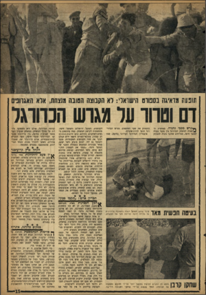 העולם הזה - גליון 1108 - 24 בדצמבר 1958 - עמוד 15 | תופעת מדאיגה בספורט הישראלי: רא הקבוצה הטובה מנצחת, ארא האגרופים רם וסחר ער מגוש הכדורגל * * גרש מכבי נתניה. במחצית ה- שניה למשחק הכדורגל בין מכבי נתניה למכבי