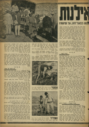 העולם הזה - גליון 1121 - 25 במרץ 1959 - עמוד 7 | מו כפועדדווק, עד ]I׳jini׳D לאשר, שמנה מאד שנראתה כסבתא ,״שבי במקומי.״ האשה, שדמתה להפליא לאמה הכושית רחבת־הממדים של משפחת אוהארה בחלף עס הרוח, התיישבה