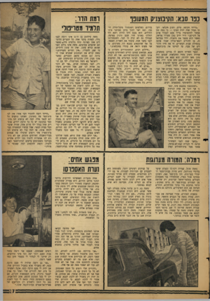 העולם הזה - גליון 1128 - 12 במאי 1959 - עמוד 7 | 1בפר סבא: הקיבוצניק המעופף .הייתי חקלאי, טייס, ושוב חקלאי. ידעתי תמיד שזה יהיה הסוף — כי כמה זמן אפשר להתעופף? צריך פעם לעמוד איתן על הקרקע.״ דויד יריב ( )24