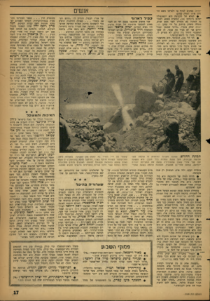העולם הזה - גליון 1129 - 20 במאי 1959 - עמוד 17 | יהודה. במקום לנזוף בו ולגרשו משם הזמינו אותו לשחק עמהם. >• הפלא של הקבוצה הוא יוצא־פולין יעקוב גרונדמן 19 המשרת בצבא. לשכונת התקוה בא מפולין לפני תשע שנים,