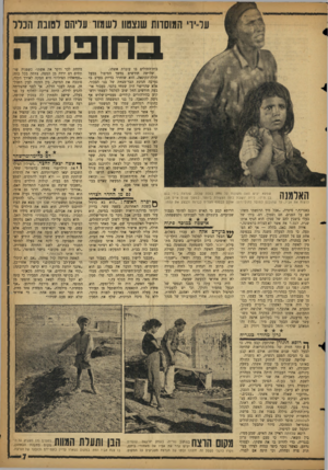 העולם הזה - גליון 1136 - 8 ביולי 1959 - עמוד 7 | על־ירי המשוות שנצטוו לשמור עליהם לטובת הנלר בחופשה האלמנה שמעא יעיש ( )50 מקוננת על מי ת בעלה שלום, שנרצח בידי בנם בן ה־ . 17 לידה יו שבת בתה הצמידה ביותר. ב מ