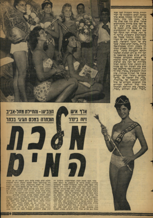 העולם הזה - גליון 1145 - 9 בספטמבר 1959 - עמוד 9 | יהודית מזרחי הוכתרה לפני שנה כמלכת המים הראשונה של ישראל. הכתרתה נעשתה בטקס אינטימי וצנוע בגני מלון ״רמת- אביב״ .אולם תוף שנה אחת כלבד הפך טקם בחירת מלכת-המים