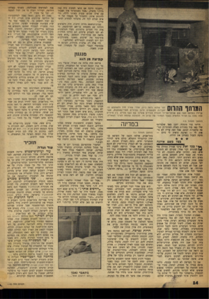 העולם הזה - גליון 1173 - 16 במרץ 1960 - עמוד 14 | ״חשבתי הרבה אם כדאי לעשות מזה ענין גדול,״ סיפרה ,״אבל כשנזכרתי איך ישבתי עם אילן שלוש שעות באותו לילה, כדי להרגיע אותו, וחשבתי על מעמדו של האיש שגרם לכל זה,