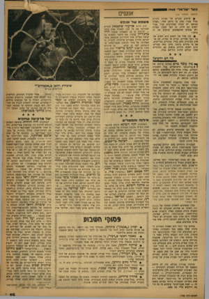 העולם הזה - גליון 1185 - 8 ביוני 1960 - עמוד 15 | וועד ישראל 0 ! <9 60 אנשים (המשך מעמוד ) 13 >• קיימים מקרים של סטיות מיניות מגיל צעיר. כוזב בן מושב אחד. :אצלנו במושב יש חברה שמקיימים בגיל צעיר יחסים עם חיות.