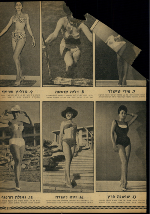 העולם הזה - גליון 1196 - 24 באוגוסט 1960 - עמוד 13 | ך. פירי טי שלר .8דליה קו סטה העולה החדשה ביותר, בת ,22 שעלתה רק לפני שלושה חודשים מרומניה, התחנכה במשטר הקומוניסטי והיתה חברת הקומסונוול. בת 9ו, נולדה בפולין