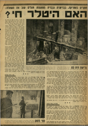 העולם הזה - גליון 1201 - 28 בספטמבר 1960 - עמוד 8 | תוקדים באמריקה, בבריטניה ובברית המועצות תערים שוב את השאלה/ : הא היטלו־ ח?־ את דעתו כי ניתנה לו לפני כן זריקה של סם מרדים. היטלר צעד בשקט לאורך המעבר׳ כשהוא