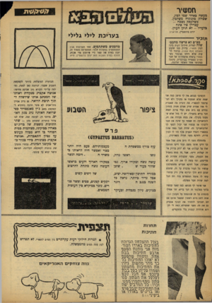 העולם הזה - גליון 1203 - 11 באוקטובר 1960 - עמוד 20 | חסטויר מעשה כאחד שמו לפון, שסולק בקנוניה משלטון. כשהעסק נשפה - עבריין פיו פתח בלעדיו -לא תוקן העוון. יורם ברנשטיין, תל־אביב בעריכת לילי גלילי תזכיר -- מפ״ם לא