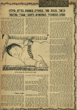 העולם הזה - גליון 1205 - 26 באוקטובר 1960 - עמוד 17 | כיצד נכנס שד בסנדק בשעת ברית מילה 1נזהז התפקיד המתאים לתוכי עברי מלומד הצבר כמו שאנחנו מכירים אותו הוא צהוב או אדום, אבל יש גם צבר אחד ירוק מפני שהוא קטן ונולד