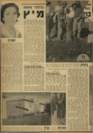 העולם הזה - גליון 1206 - 3 בנובמבר 1960 - עמוד 13 | מיץ על המשמר, ומשם הגיעה עליזה גם למשא, המוסף הספרותי של למרחב, ולתרגום מספר ספרי־ילדים. אליעז אף השתדל להכניס את יצירותיה לקול־ישראל, המליץ עליה בפני בלה