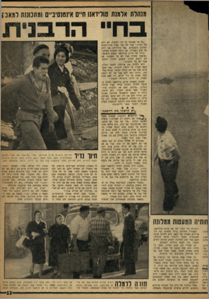 העולם הזה - גליון 1208 - 16 בנובמבר 1960 - עמוד 13 | מנהלת אלמנת מולידאנו ח״ם אינטנסיביים ומתכוננת ל מ אנן בחיי הד־בנ ״כל מי שאומר לך מד, לעשות, לא יודע את החוק,״ אמר לה גבר צעיר הדור־לבוש ומרכיב משקפיים .״אני