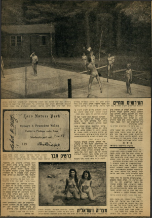 העולם הזה - גליון 1209 - 23 בנובמבר 1960 - עמוד 15 | העירומים והחיים רוברט ואלץ, בעל הראיון המתפרסם בעמודים אלה (הגבר הראשון מימין) משחק מניס באחד המחנות הנודיסטיים הרבים הפזורים בכל רחבי אירופה. בהיותו מצוייר