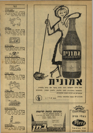 העולם הזה - גליון 1209 - 23 בנובמבר 1960 - עמוד 16 | החי פגע, מו־כרח ףטנהריה, נמצא רוכב־אופנוע מוטל י׳ _ 1פצוזו. סיפר כי התנגש עם פרה שחצתה את הכביש, הפתיעה אותו, נעלמה מן המקום לאחר שגרמה לתאונה. ף• לוס אנג׳לס,
