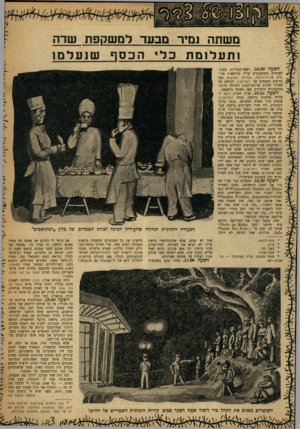 העולם הזה - גליון 1209 - 23 בנובמבר 1960 - עמוד 17 | משתה נמיר מבעד למשקפת שדה ! ת עלו מתכלי הכסף שנעלמו השעה .16.00 ראשי־העיריות הבינלאומיים משתעממים עדיין בהרצאות ארוכות בבית־הבינוה, ובהיכל התרבות כבר מזיעים