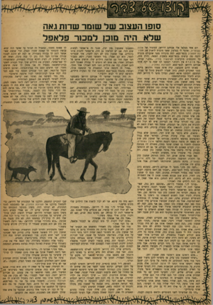 העולם הזה - גליון 1211 - 7 בדצמבר 1960 - עמוד 19 | סופו העצוב של שומר שדות גאה שלא היה מוכז למכור פלאפל יום אחד מצלצל אלי אברהם דרויאן, המזכיר של ארגון השומרים, ואומר לי בטלפון שאני מוכרח לראות את תערוכת התחביב