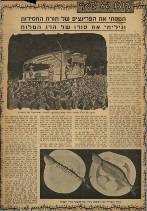 העולם הזה - גליון 1212 - 14 בדצמבר 1960 - עמוד 23 | תפסתי את הפרינציפ של תזרת החסידות וגיליתי את סודו של הדג המלוח אם לא כתבתי עד היום על חסידי חב״ד ועל ההילולות והחינגות שהם עורכים בכפר חב״ד, אז זה לא מפני