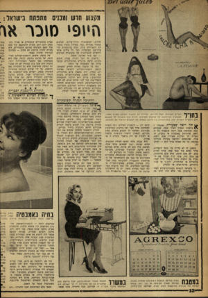 העולם הזה - גליון 1215 - 4 בינואר 1961 - עמוד 12 | א׳א־ו־מס/יז 1.6*. חילות, המשמשות רודלי־עירום לצלמים במחיר אגורות (כמו מאולץ מונרו בתהילת הקאריירד, שלה) וכלה בדוגמניות ידו־עות־שם, המקבלות בעד כל צילים אלפי