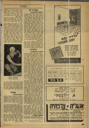העולם הזה - גליון 1219 - 1 בפברואר 1961 - עמוד 14 | ספורט ש ע רו ריו ת תרמית 130 רטאית בין אלפי אוהדי הספורט שנהרו השבת ל־איצטדיון באסה ביפו, לדרבי התל־אביבי בין מכבי והפועל, לא היה גם אחד שלא צעק חמס. למחרת