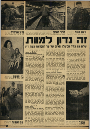 העולם הזה - גליון 1219 - 1 בפברואר 1961 - עמוד 17 | ואש הועד נוכלוף בושכילה, ,30 נווהיר• :ח־לול הציל אותנו. חיסולו יביא לניווננו!״ | ? ל | ל 1ן ^ ך 1ח שייך לאברהם אלמליח, בן ה־ ,28 שעלת ממארוקו. אלמליח, י י״*