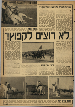 העולם הזה - גליון 1235 - 17 במאי 1961 - עמוד 17 | ״שילמדו לשבת על כסא!״-אמו יוסקוביץ ^ ותו יום בו נענינו לסיסמה ליאן הול־ ^ כים האנשים? — למיפגן הפרשים! פגשנו בדרך את זאב (״יוסקוביץ״) יוסיפון ותמהנו מה עניין
