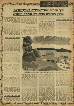 העולם הזה - גליון 1237 - 31 במאי 1961 - עמוד 20 | אץ־ מעדים אפריקאנדרים לארק־ישראל זהיב? כובשים הבורגנים שממה חלוצית הפרחת ש מ מה מלו חה לא •הרחק ממפעל האשלג, ממקום שנחל צץ משתפך לתוך ערבת סדום מלאת הביצות