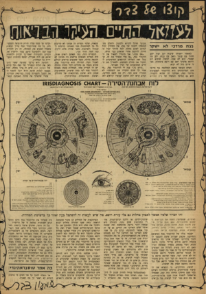 העולם הזה - גליון 1239 - 14 ביוני 1961 - עמוד 20 | ל;ו 3ו 2 £0ד ר לעזז<ן להח״ם העי?ד.וז1נאות מבוגר שיכל לקרוא ולכתוב ולשלם מם־ הכנסה? לדעתו של נצח, אין החיידק יכול לגרום לשום מחלה. לכל היותר יכול החיידק להיכנס