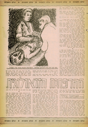 העולם הזה - גליון 1252 - 5 בספטמבר 1961 - עמוד 23 | עולם הספ רו ת עולם הספ רי ת עו לםהספרות עולם הספרו ת עולםהספ רו ת מוטקה השמח עדיין רעב היה כשהגיע הסתיו. צעד לאם בשדרות רס־יי, כשעלים אדימים וצה־בים נושרים לו