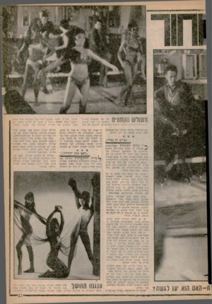 העולם הזה - גליון 1254 - 19 בספטמבר 1961 - עמוד 13 | משולש חקסמיס הרקדניות הכושיות, בעלות הגופות החושלנזים, לכוכבות של סרט ואם בפגישות במרכזי הבידור התל־אביביים. לאלה נכונה אכזבה. הן רק רוקדות. גכריס זה 3פרד: