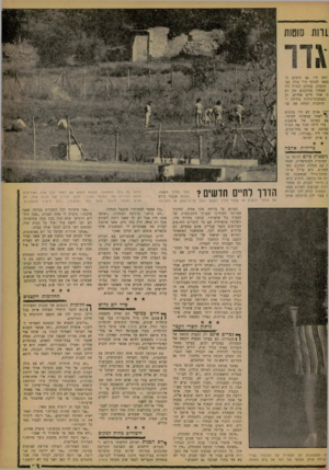 העולם הזה - גליון 1265 - 6 בדצמבר 1961 - עמוד 13 | 1ח ת סוטות ונים היו גם הימים ה־סבאו למוסד היו כולן בע־מובהק. בחלקן הגדול היו שעסקו במיקצוע זמן רב :ו אחר חיים אחרים. הן כשסכיני־גילוח בידיהן וחותכות האחת את