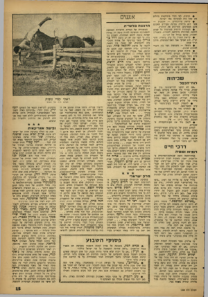 העולם הזה - גליון 1269 - 3 בנובמבר 1962 - עמוד 15 | ס תרבות. לסי דברי מוסיקאים גדולים אין קהל כזה למוסיקה כמו ישראל. 0קיימת צורת־חיים — הקיבוץ — אשר היא מיוחדת במינה. צעירים שאמנם אינם מצטרפים, מעריכים את