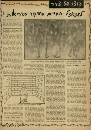 העולם הזה - גליון 1270 - 10 בינואר 1962 - עמוד 20 | ונוס שיצאה מתוך השבלול של בוטיצ׳לי ואז נזכר פתאום אברהם ביינדר, ששכחו לתת לי מנורת קוורץ ולשזף איתי חום־ כהד, לקראת הופעת הבכורה של הלהקה הסנגלית ובשביל זה הוא