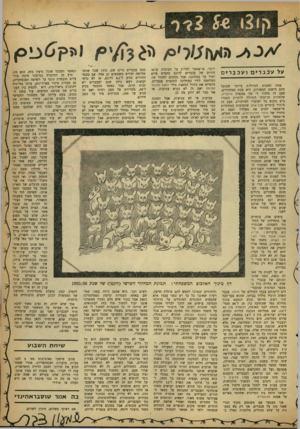 העולם הזה - גליון 1271 - 17 בינואר 1962 - עמוד 23 | יושר• אי־אפשר לחלוק על העובדה ש־50 על עכבריםועכברים חורים של עכברים לדונם מהווים איום כמה עכברים גרים שם, כיוון שכל שנים־ וכאשר העכבר אוכל גרעין כזה, הוא מת״.