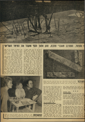 העולם הזה - גליון 1275 - 14 בפברואר 1962 - עמוד 13 | והפסל, המוונב משברי מתנת, זו1ק מחו! המך ומקבל את המימד השלישי שרחבו עלה על רוחב כתפיו, הסתגר בחורבה ועסק רק באמנותו. כחוש ומצומק, כשמשקלו אינו עולה על 49 קילו,