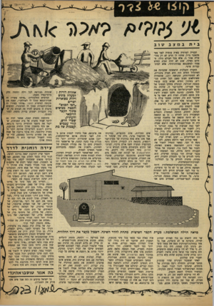 העולם הזה - גליון 1277 - 28 בפברואר 1962 - עמוד 19 | הבנייה הפרטית בארץ עומדת לפני צעד מהפכני גדול, שיהיו לו הדים לא רק בהרצליה אזור ג /אלא בכל העולם כולו: מהיום ואילך, שוב לא יהיה הבית החדש צמוד למשכנתא