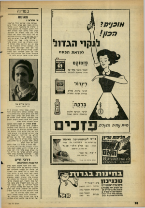 העולם הזה - גליון 1282 - 4 באפריל 1962 - עמוד 19 | במדינה תאונות מ׳ אחראי * / #כ 7מי. נקניהג ־ ר 1נ י לקראת הפסח המסיבה בבית שברחוב הילל בתל־אניב נסתיימה בשעה תשע בערב. תלמידי כיתה ח׳ שלישית של בית־הספר דובנוב