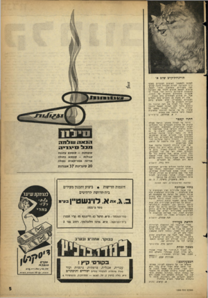 העולם הזה - גליון 1293 - 20 ביוני 1962 - עמוד 5 | תירגולת־קרם שלב א׳ למקום ולטאטצי האנשים העובדים באכם־ נייה ובסביבה. למרות העבודה הרבה שהושקעה בשבילים, בנטיעות, בנקוי השטח, מרשים לעצמם אנשים ללבלר את הסביבה