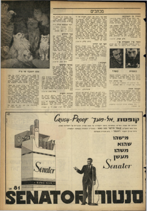 העולם הזה - גליון 1294 - 27 ביוני 1962 - עמוד 3 | כתבים הזהרו מן הצבועים טוב לדעת שקיים טיעוט בקרב בני-הישי- כות, שאינו מנצל את זכותו (שאינה ניתנת לם טודנסים בבתי־ספר גבוהים) להשתחרר משרוח צבאי עשב ליסודים