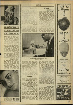 העולם הזה - גליון 1296 - 11 ביולי 1962 - עמוד 16 | קולנוע סרטים פוגרום בסי! לא ינום השטן (תל־-אביב, תל־אביב; ארצות־הברית) נועד להסביר לאמריקאים מדוע עליהם לשמור טינה ואיבה קיצונית כל כן־ כלפי סין העממית. הסיבה