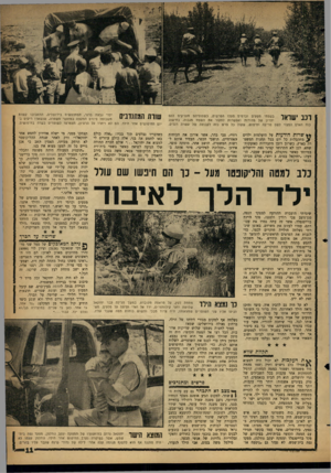 העולם הזה - גליון 1299 - 1 באוגוסט 1962 - עמוד 11 | בשטחי מטעים וכרמים פעלו הפרשים, כשסוסיהס מעניקים להם יתרון של מהירות ואפשרות לסקור את השטח מגבוה. בחישוב נוח האדם המצוי לשם סריקה וחיפוש, שקול כל פרש כזה