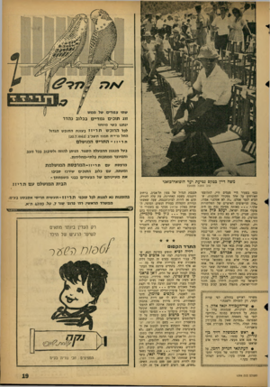 העולם הזה - גליון 1299 - 1 באוגוסט 1962 - עמוד 19 | זוג תוכים גמדיים בכלוב נהדר עתנו כשי מיוחד לכל הרוכש תריזז בעוגת החופש הגדול החל מ־י־ח תמוז תשכ״ב ()20.7-1962 תויזז -ה תרי ס המו שלם בעל מנגנון ההפעלה הסגור.