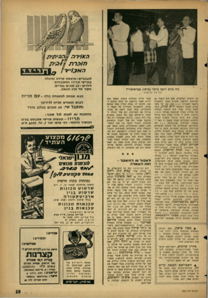 העולם הזה - גליון 1300 - 8 באוגוסט 1962 - עמוד 19 | ה*וירה הו כרת הא /3״•9 למבוגרים־ מרפסת קרירה ומוצלה בתריסי ת ריזז המ שובחים. ליל די ם-זוג תוכים גמדיים, מקור של ענין והנאה. נוח מוזס דיום ן 5כרמל (מרכז)