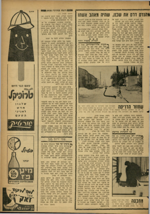 העולם הזה - גליון 1301 - 15 באוגוסט 1962 - עמוד 15 | *תנוס דוס את שננו, שהיה מאהב אשתו נדבו הצברים לשמש בייבי־סיטר לבנם של השרפברגים, שהוא כיום כבן שנתיים. כעבור חודשים אחדים, נדמה היה שמשהו כבד מעיב על האידיליה