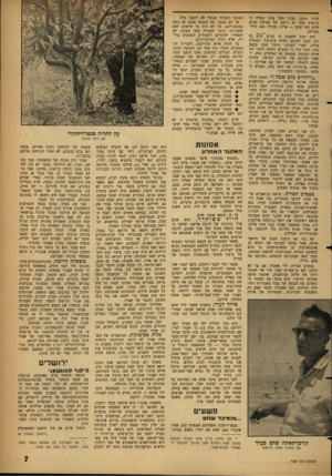 העולם הזה - גליון 1301 - 15 באוגוסט 1962 - עמוד 7 | קריר ורענן, נערך מעל צוקי מעלה ה־גרופית טקס רב רושם של פתיחת כביש חדש באר־שבע — אילת (אורך 236 :קילומטרים). היה יסוד להאמין כי כביש חדש זה יתן תוכן לחופש השיט