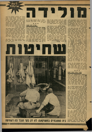 העולם הזה - גליון 1302 - 22 באוגוסט 1962 - עמוד 11 | הנמצאים מחוץ לתחום ההתעניינות וההתערבות של בית־המשפט. באחד השלבים של המשפט חקר עורך־דינו של צבי שימנסקי, אליעזר פיכמן, את ראש הקואופרציה בחיפה, אריה לביא, שהוא