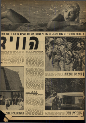 העולם הזה - גליון 1302 - 22 באוגוסט 1962 - עמוד 12 | קומץ שר מעריצות בוכיות נועצות עיניים נועבר לגדר בארונח של מרילין, המובא לקבורה. לקהל, ואפילו לכוכבי הוליבוד, לא ניתנה רשות כניסה לבית־הקברות. בכל זאת נכחו שם